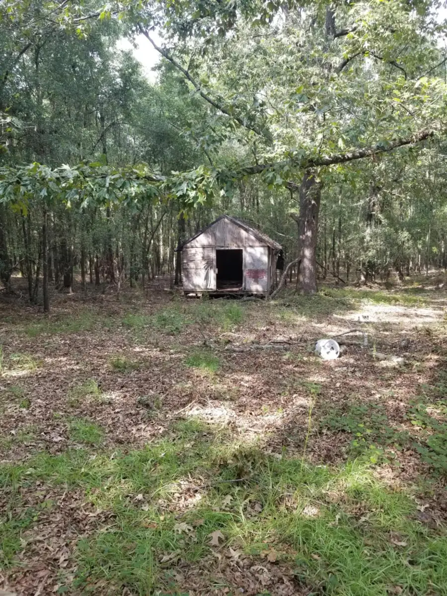 0 River Road, Waynesboro, GA 30830 - Image #3