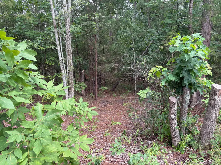 Lot 15 Overlook Point, McCormick, SC 29835 - Image #2