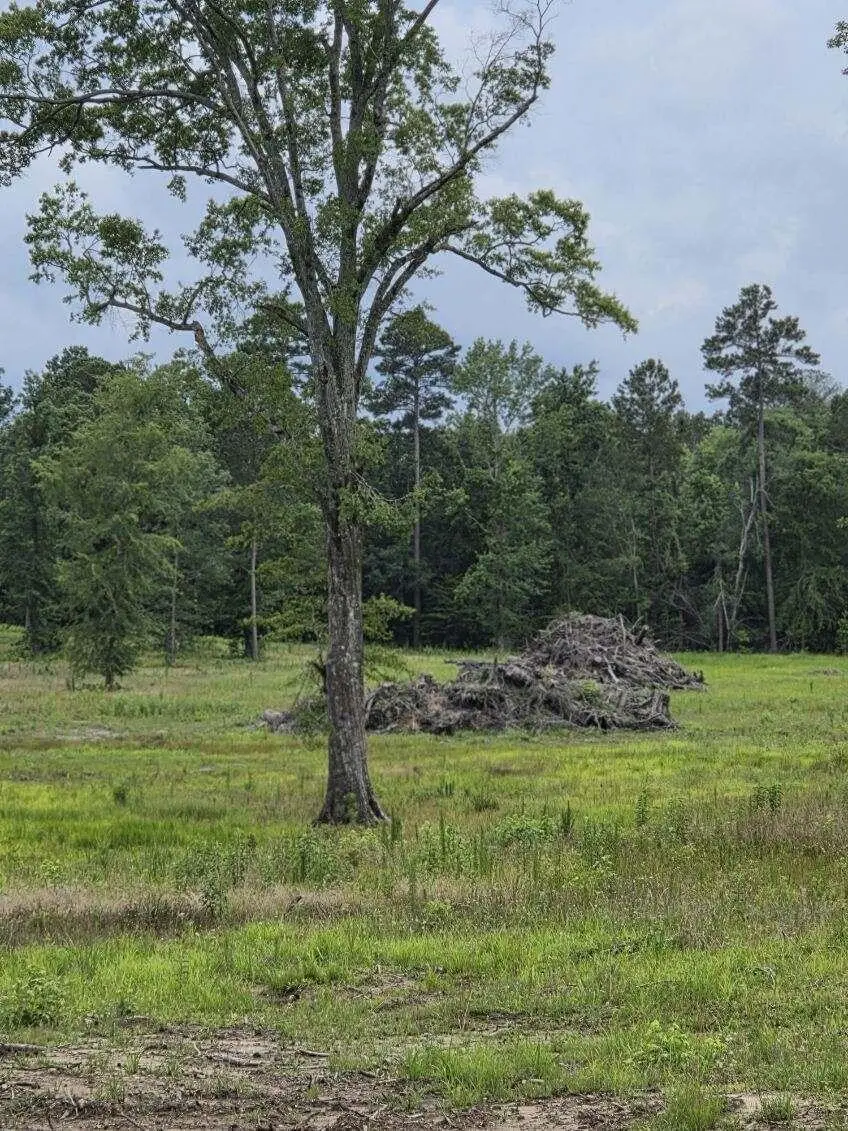 365 Shagbark Way, Harlem, GA 30814 - Image #3