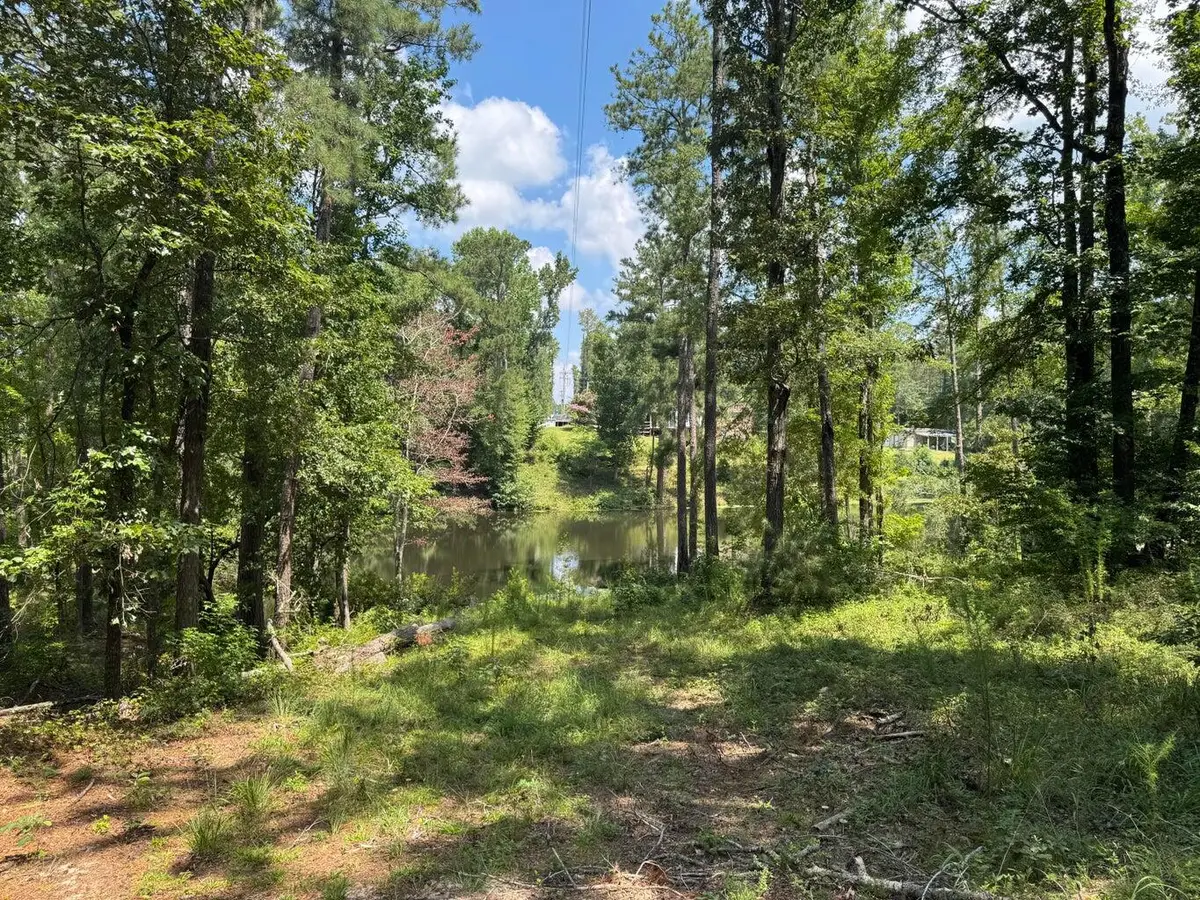 0 Hummingbird Drive, Trenton, SC 29847 - Image #1