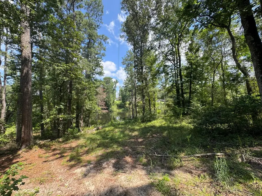 0 Hummingbird Drive, Trenton, SC 29847 - Image #3