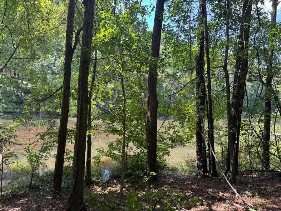 Lot 2 Cardinal Drive, Trenton, SC 29847 - Image #2