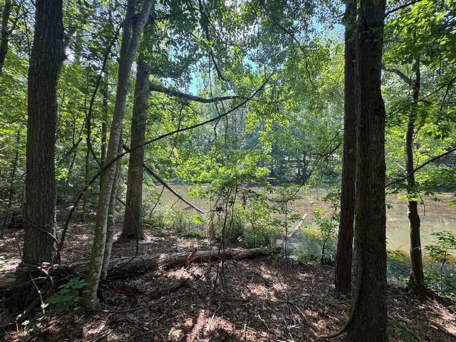 Lot 2 Cardinal Drive, Trenton, SC 29847 - Image #3