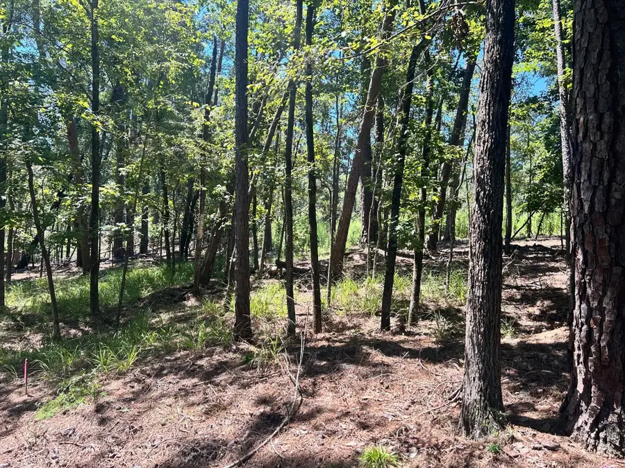 1109 Castle Road, Grovetown, GA 30813 - #2