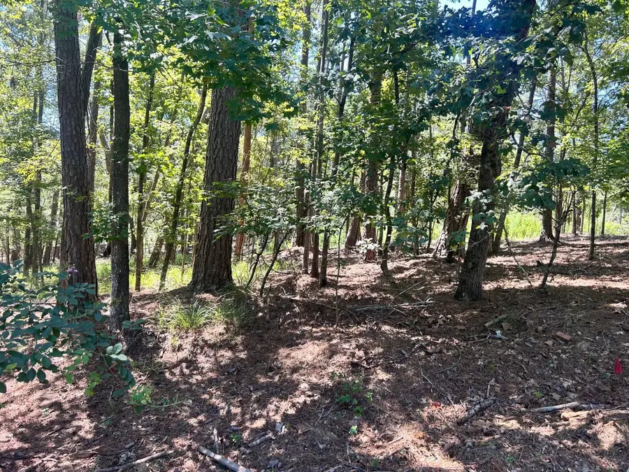 1109 Castle Road, Grovetown, GA 30813 - #3