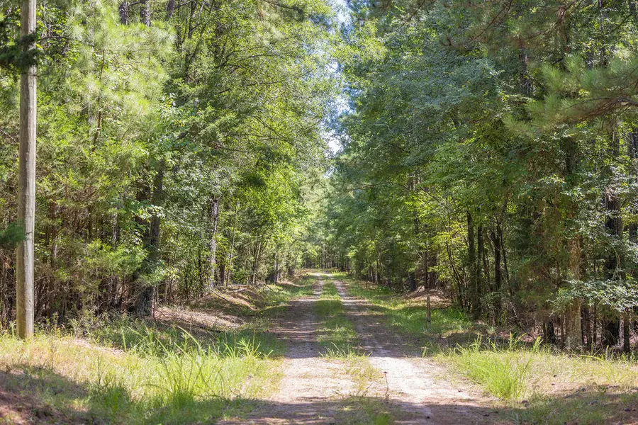 47 Burton Drive, Edgefield, SC 29824 - Image #2