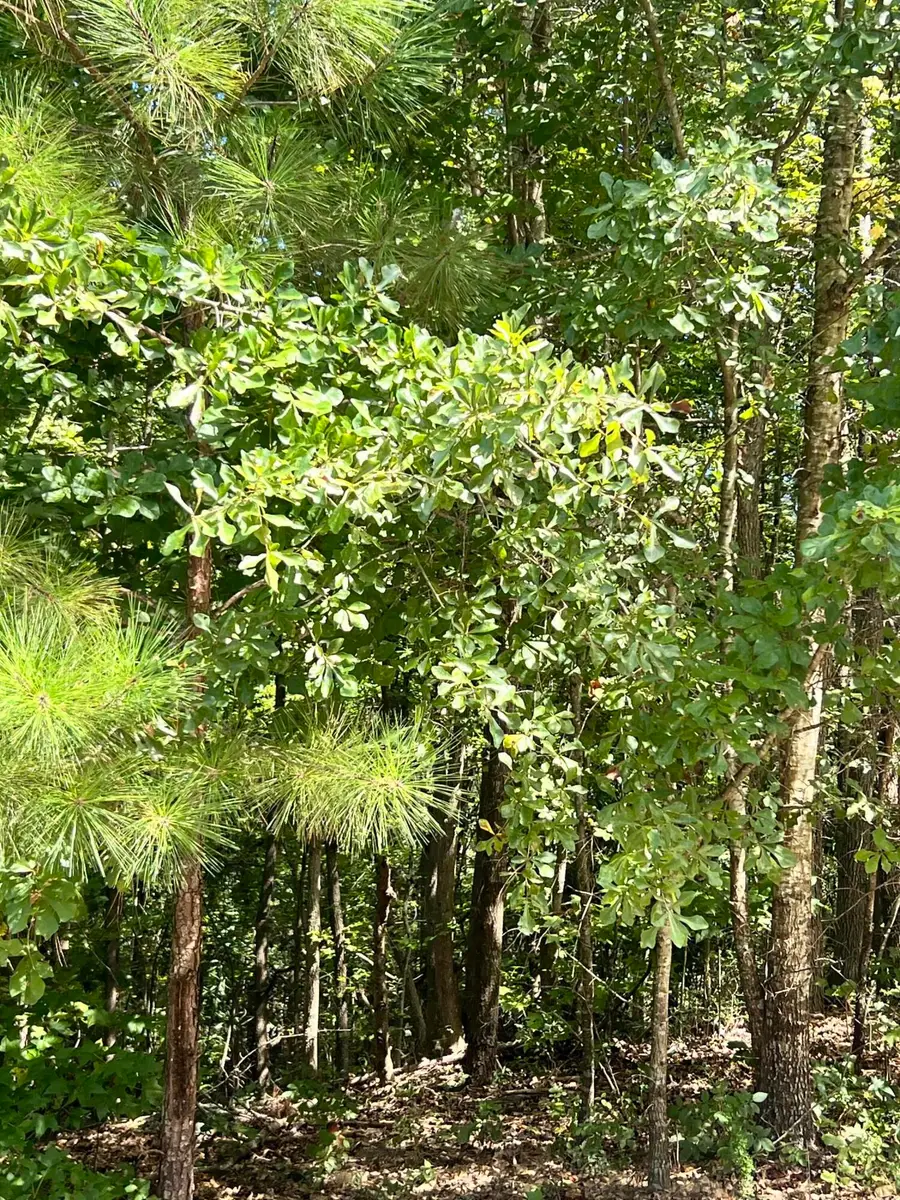 2121 Southlake Parkway, Augusta, GA 30906 - Image #2