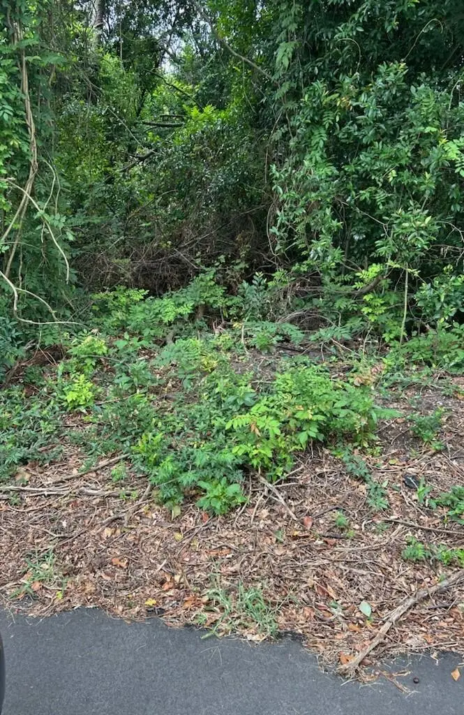 0 Sycamore Street, North Augusta, SC 29841 - Image #1