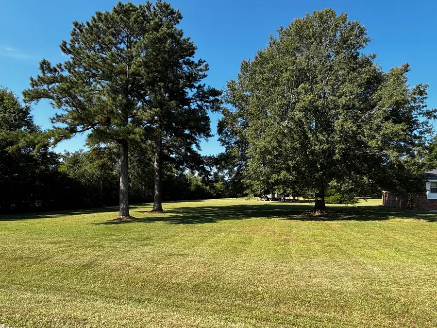 207 Old Thomson Road, Wrens, GA 30833 - #3