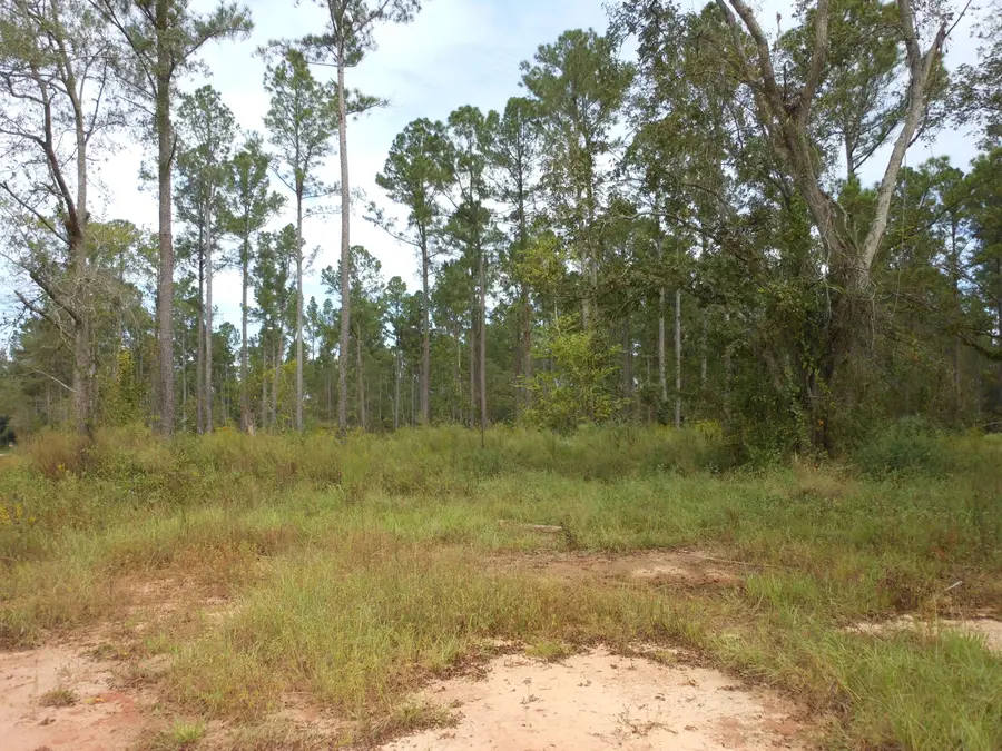 0 Hannah Lane, Keysville, GA 30816 - Image #3