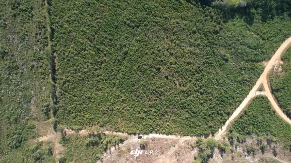 00 Moores Drive, Edgefield, SC 29824