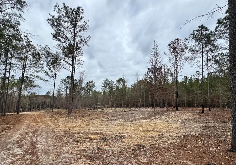 3479 Bastonville Road, Gibson, GA 30810 - #2