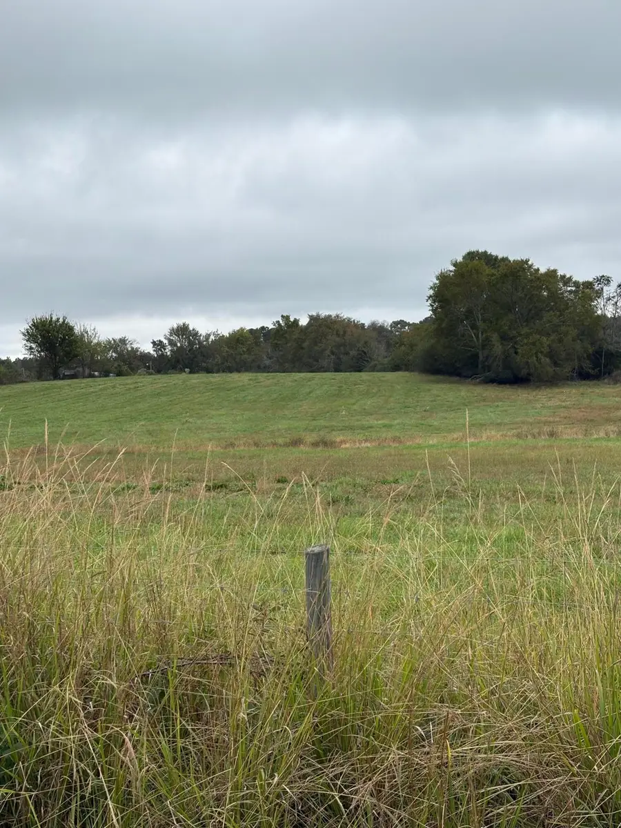 000 Meadow Lane, Washington, GA 30673 - Image #3