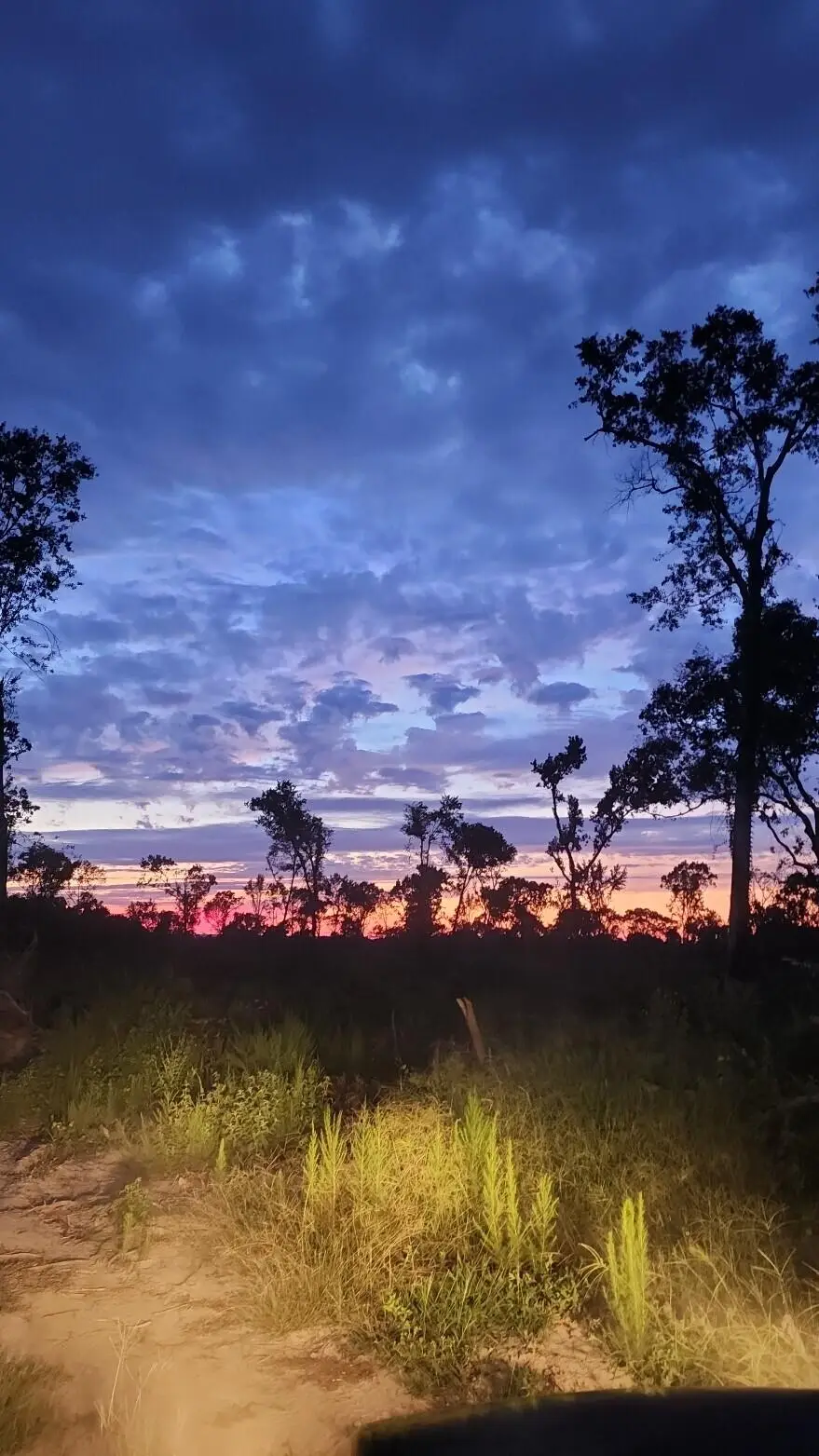 7b Atomic Road, Beech Island, SC 29842 - Image #1