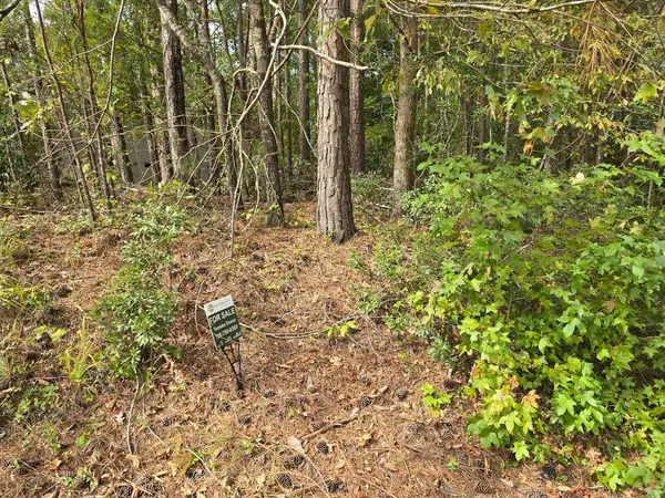 Lt 5 Bk 23 Brassie Drive, McCormick, SC 29835