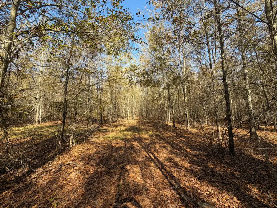 0 S 24 Highway, Waynesboro, GA 30830 - Image #2