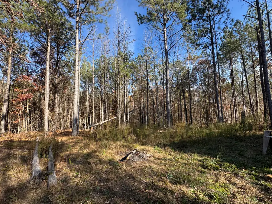 1151 Buckhead Road, Tignall, GA 30668 - Image #3