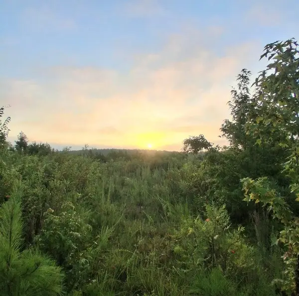 19a Bowie Road, Troy, SC 29848