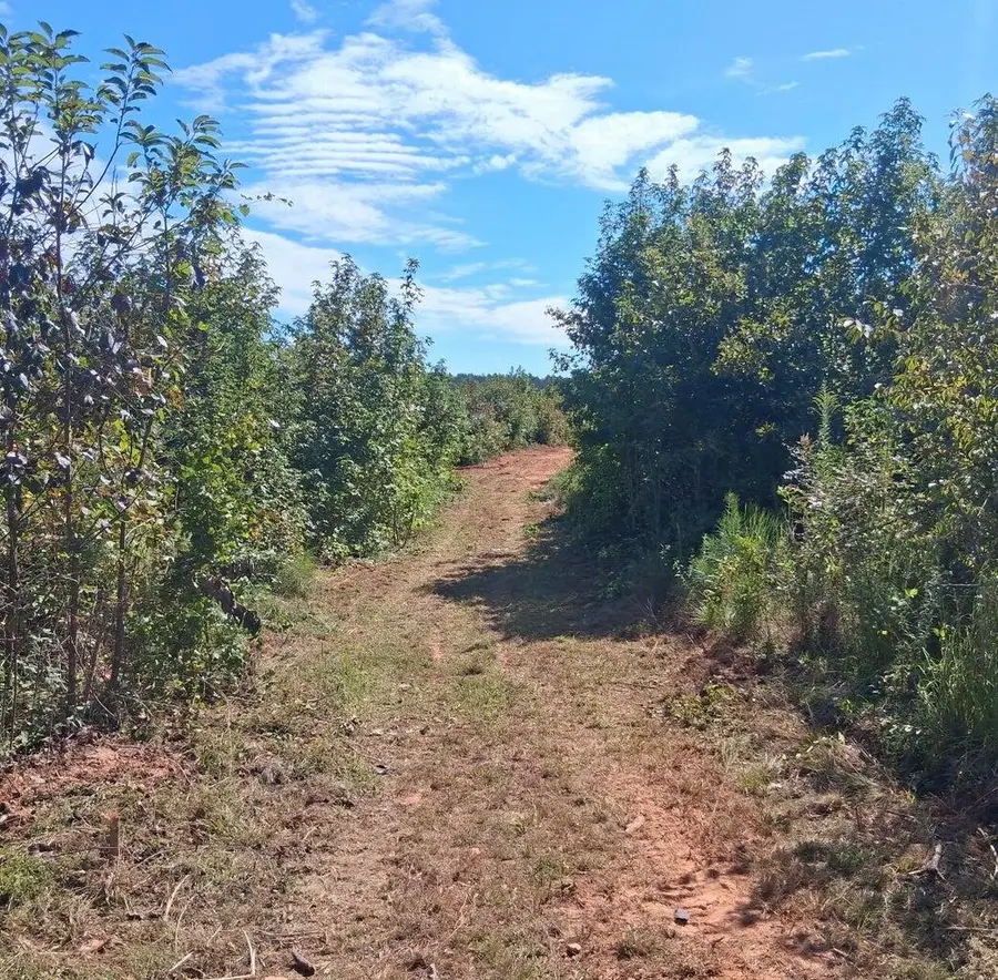 19a Bowie Road, Troy, SC 29848 - Image #3