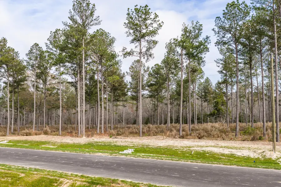 159 Beagle Chase Drive, Appling, GA 30802 - Image #3