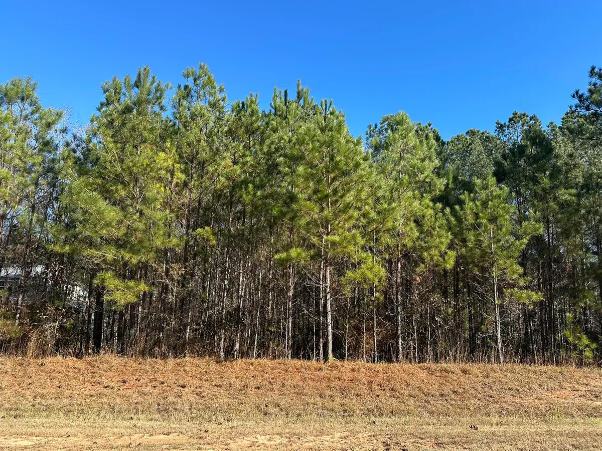 Lot 62 Wisteria Drive, Lincolnton, GA 30817 - Image #1