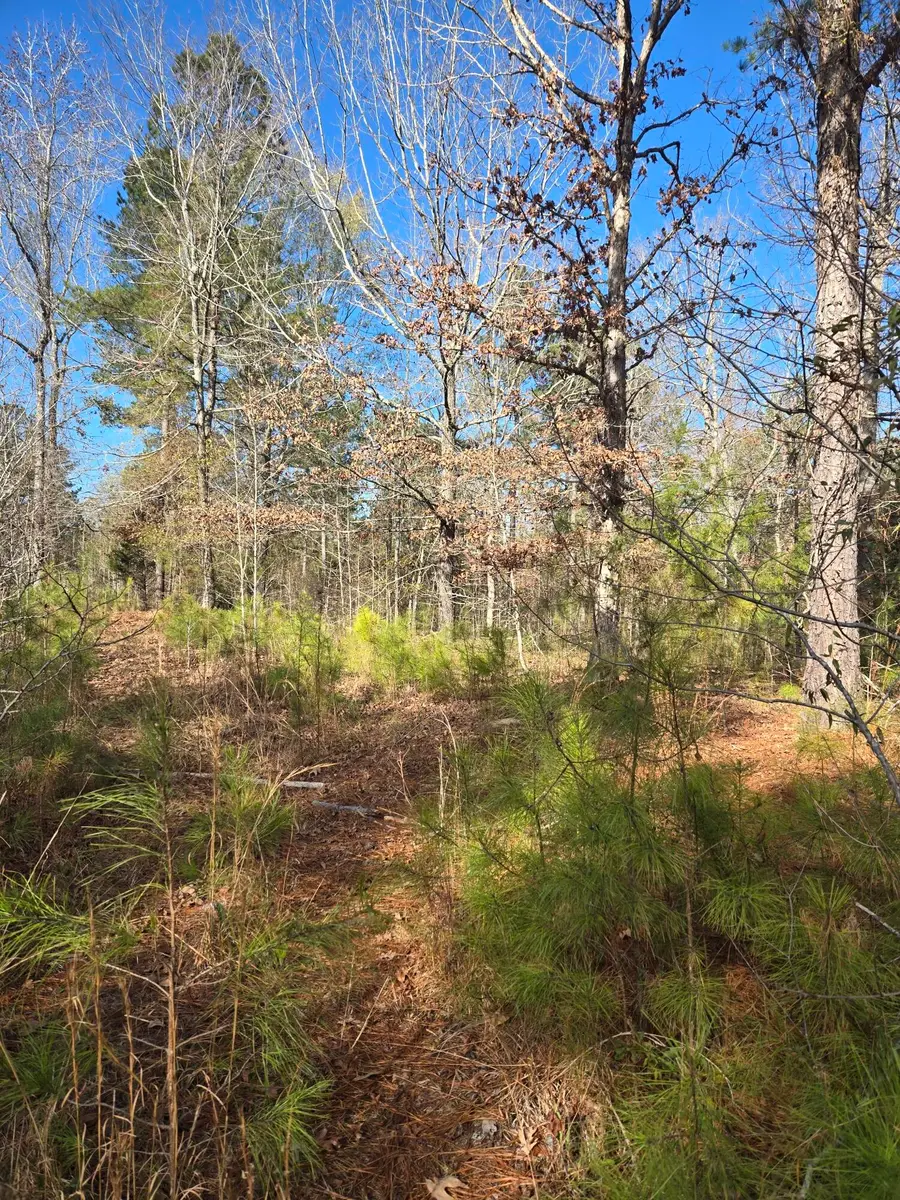 0 Outrigger Drive, Lincolnton, GA 30817 - Image #2