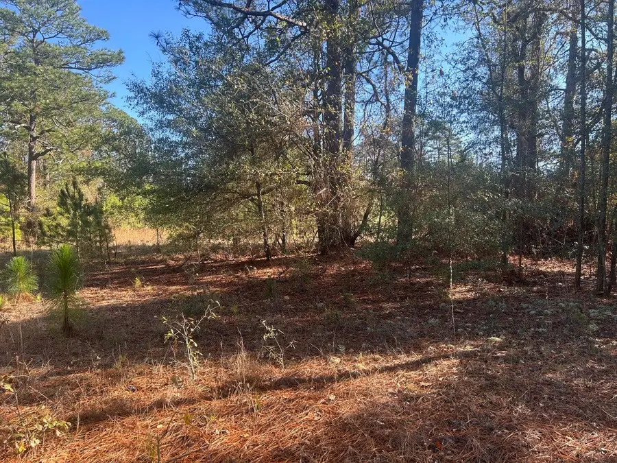 00 Fairway Drive, New Ellenton, SC 29809 - Image #2