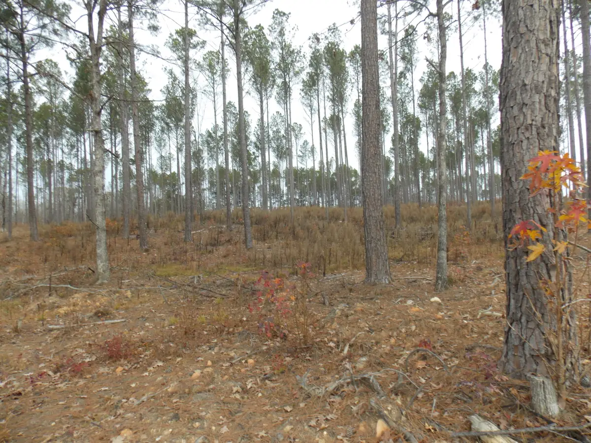 4 E Mosley Rd, Lincolnton, GA 30817 - Image #1