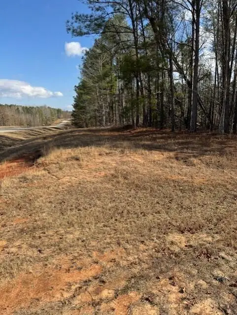 101 Antlers Trail, Hephzibah, GA 30815