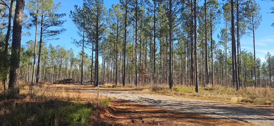 1 Smith Chapel Road, Lincolnton, GA 30817 - Image #2