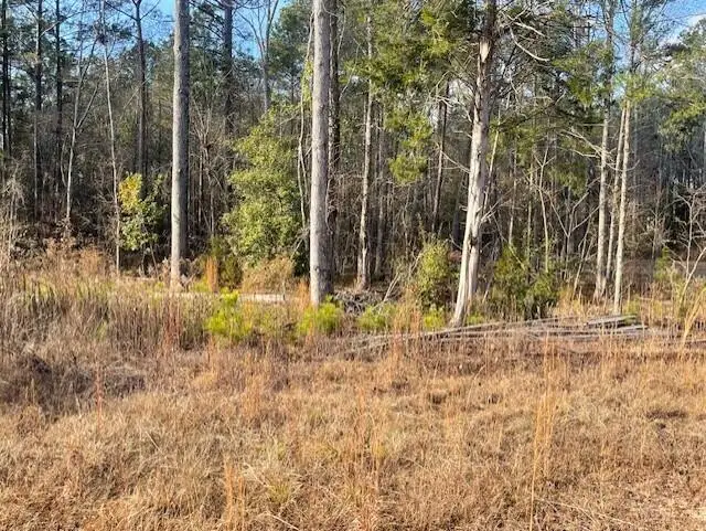 Lot 32 Stapleton Acres Drive, Stapleton, GA 30823 - Image #2
