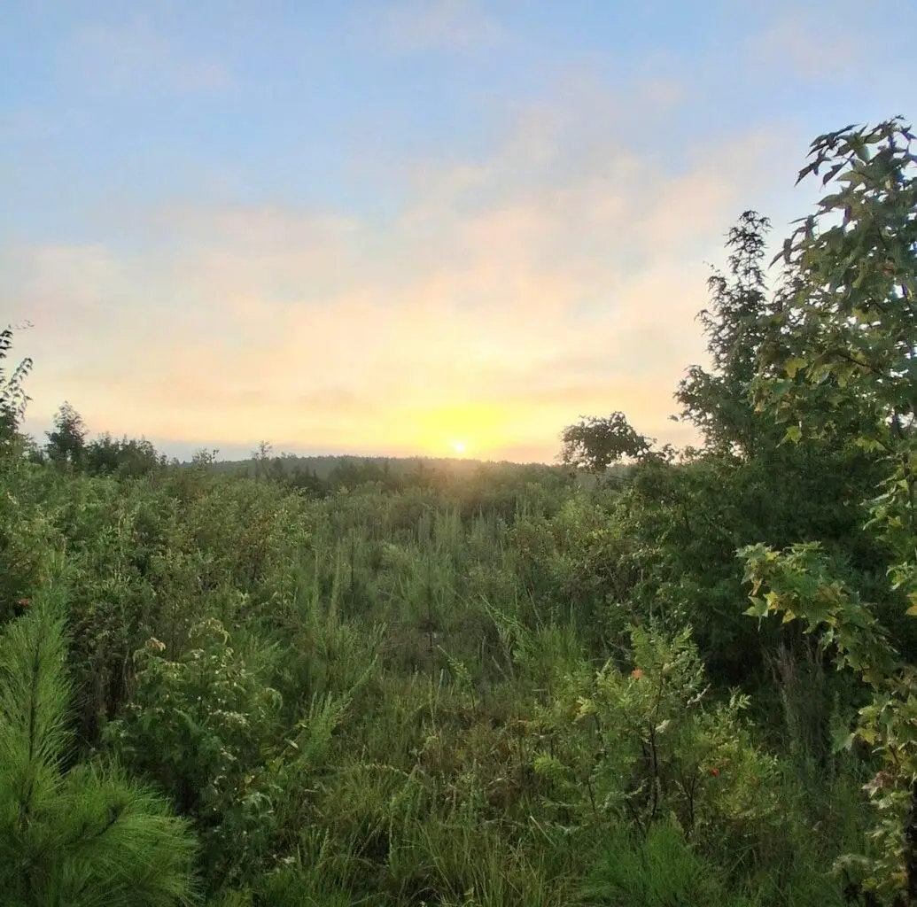 10a Bowie Road, Troy, SC 29848 - Image #1