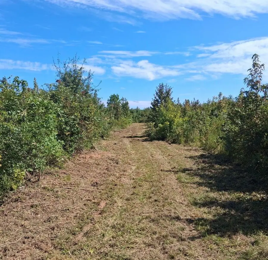 3a Bowie Road, Troy, SC 29848 - Image #2