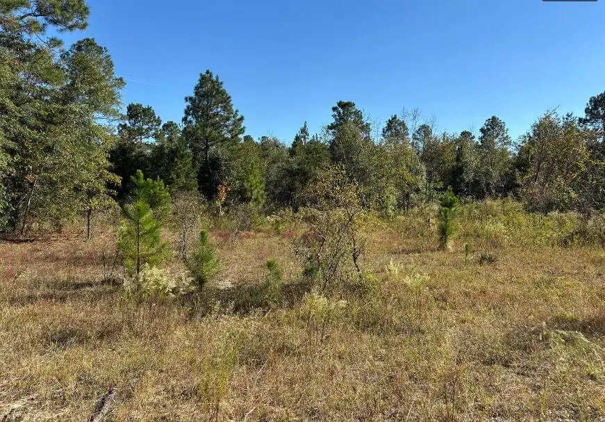 7a Pearl Bonnett, Windsor, SC 29856 - Image #1