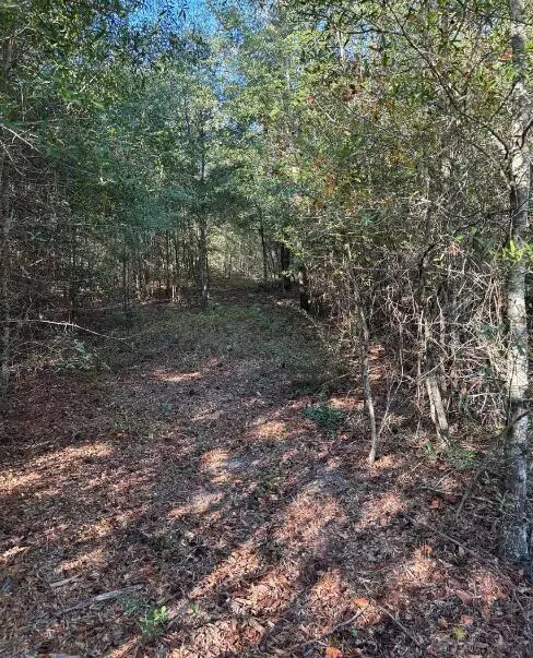 7a Pearl Bonnett, Windsor, SC 29856 - Image #3