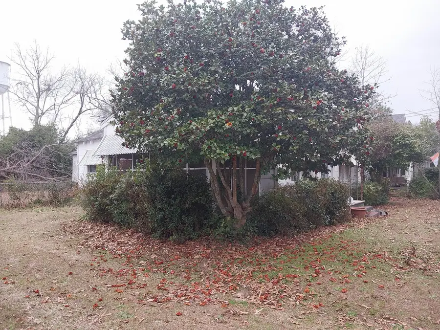 135 E Trippe Street, Harlem, GA 30814 - Image #3