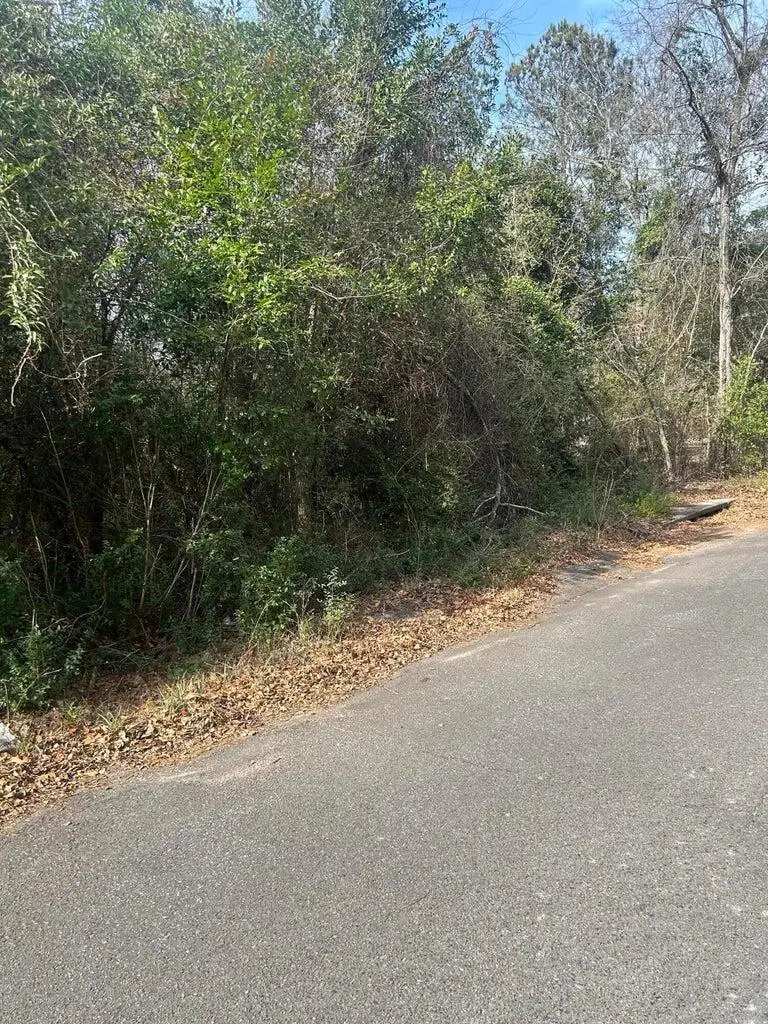 0 Robinson Drive, New Ellenton, SC 29809 - Image #3