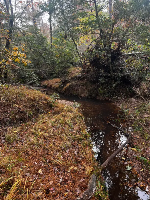 1 Pate Mill Road, Warrenton, GA 30828