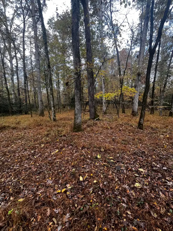 0 Pate Mill Road, Warrenton, GA 30828