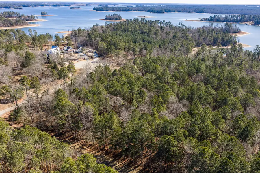 1038 Fleming Lake Court, Lincolnton, GA 30817 - Image #3