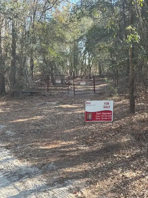 0 Starfish Lane, Lyons, GA 30436 - #2