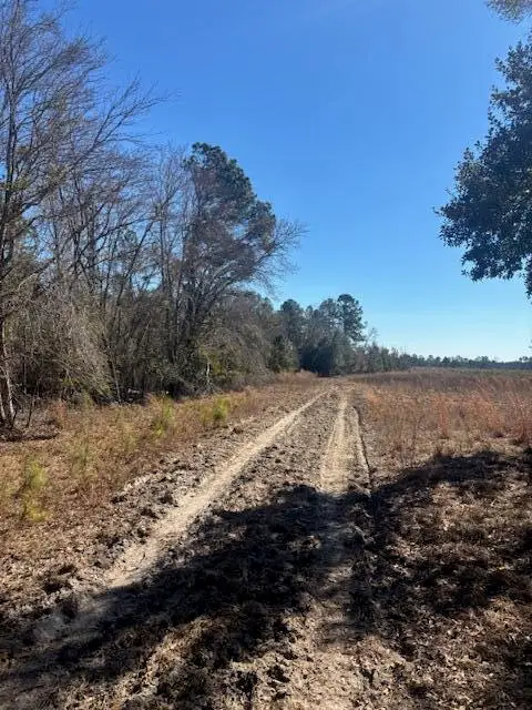 0 Starfish Lane, Lyons, GA 30436 - #3