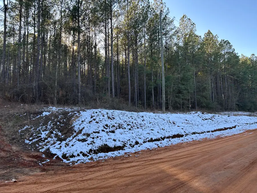 3229 Keysville-boggs Academy Road, Keysville, GA 30816 - #3