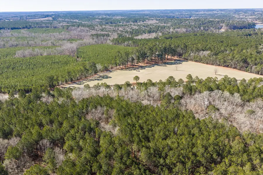 1036 Chennault Drive, Lincolnton, GA 30817 - #3