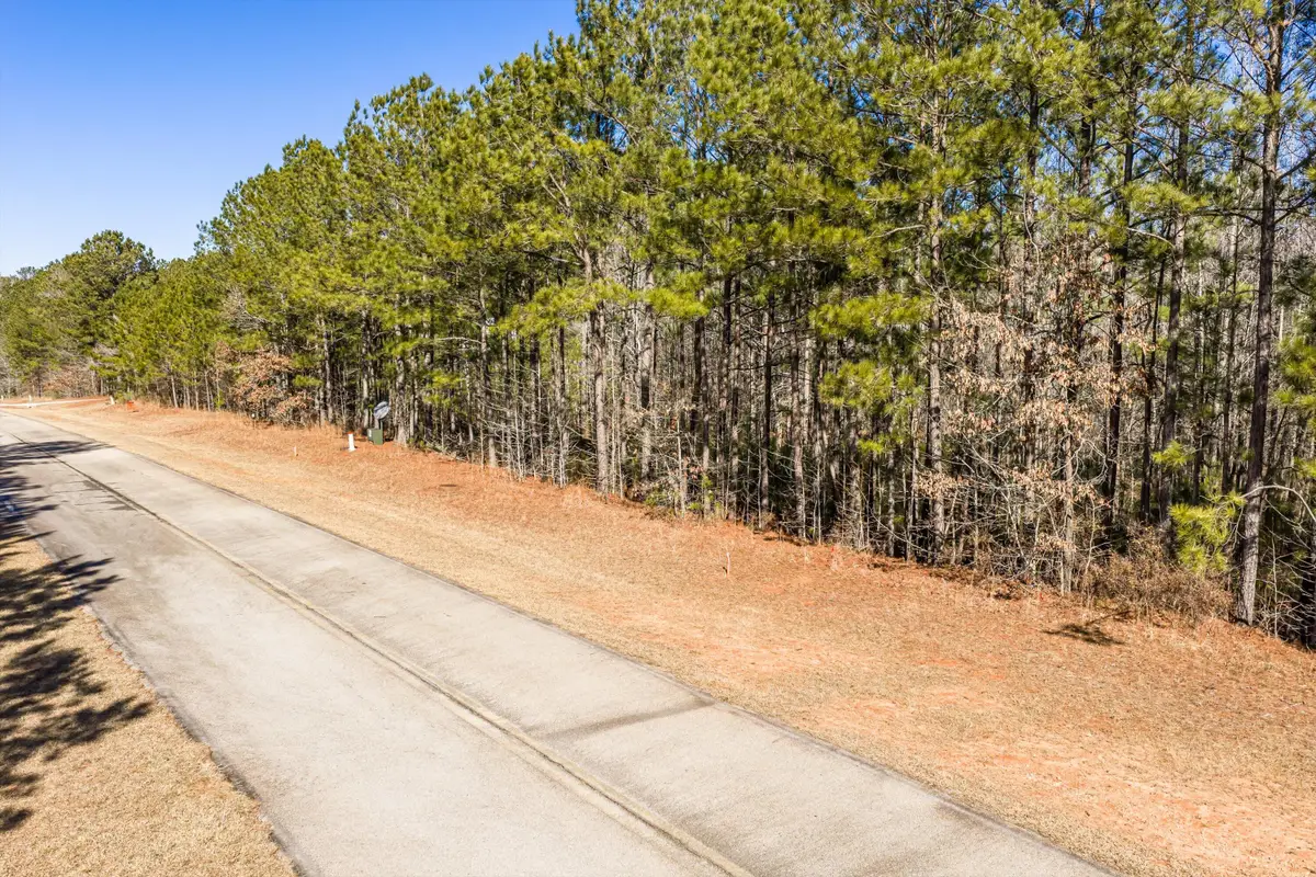Lot 64 Wisteria Drive, Lincolnton, GA 30817 - #1