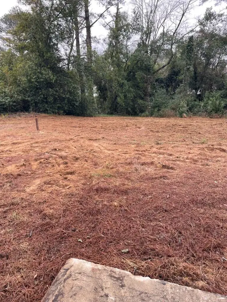 147 Monterey Avenue, North Augusta, SC 29841 - Image #3