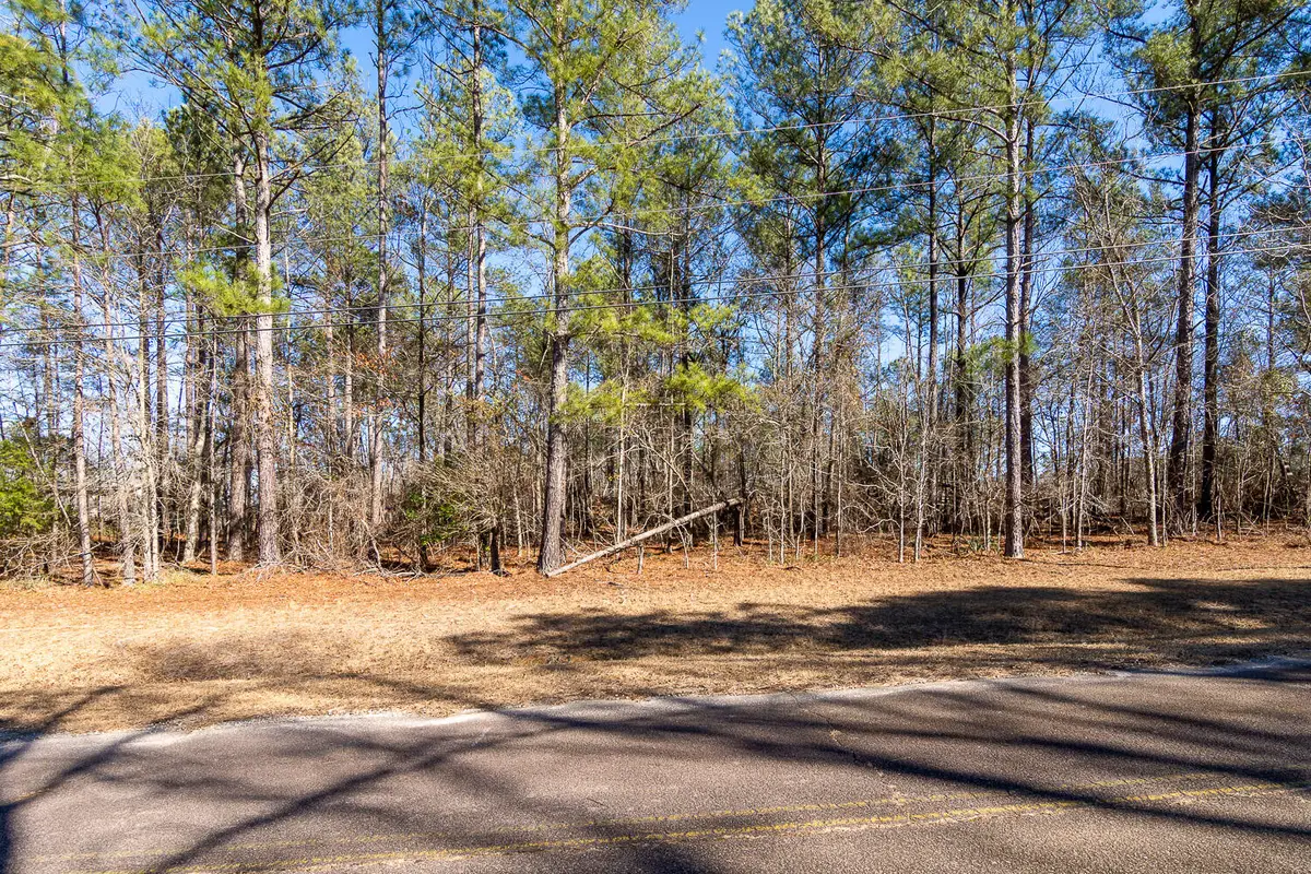 1250 Nugget Drive, Grovetown, GA 30813 - Image #1