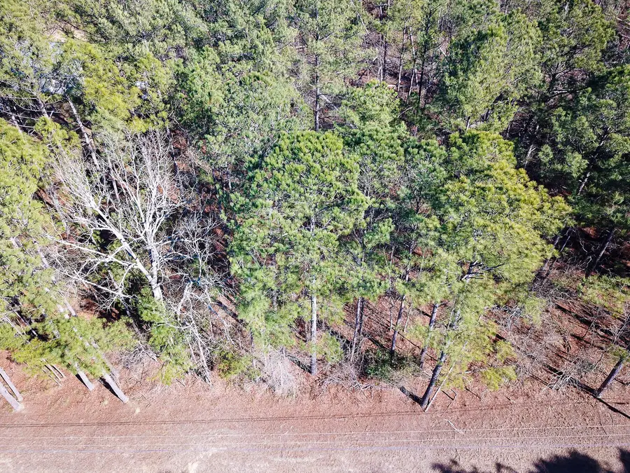 1250 Nugget Drive, Grovetown, GA 30813 - Image #2