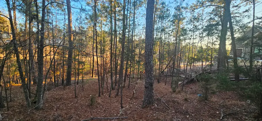 0 Amelia, McCormick, SC 29835 - #2