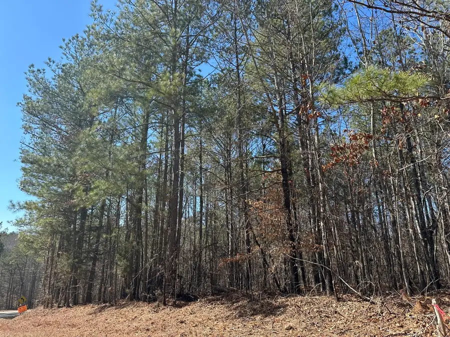 Lot 31 Willow Way, Lincolnton, GA 30817 - #2
